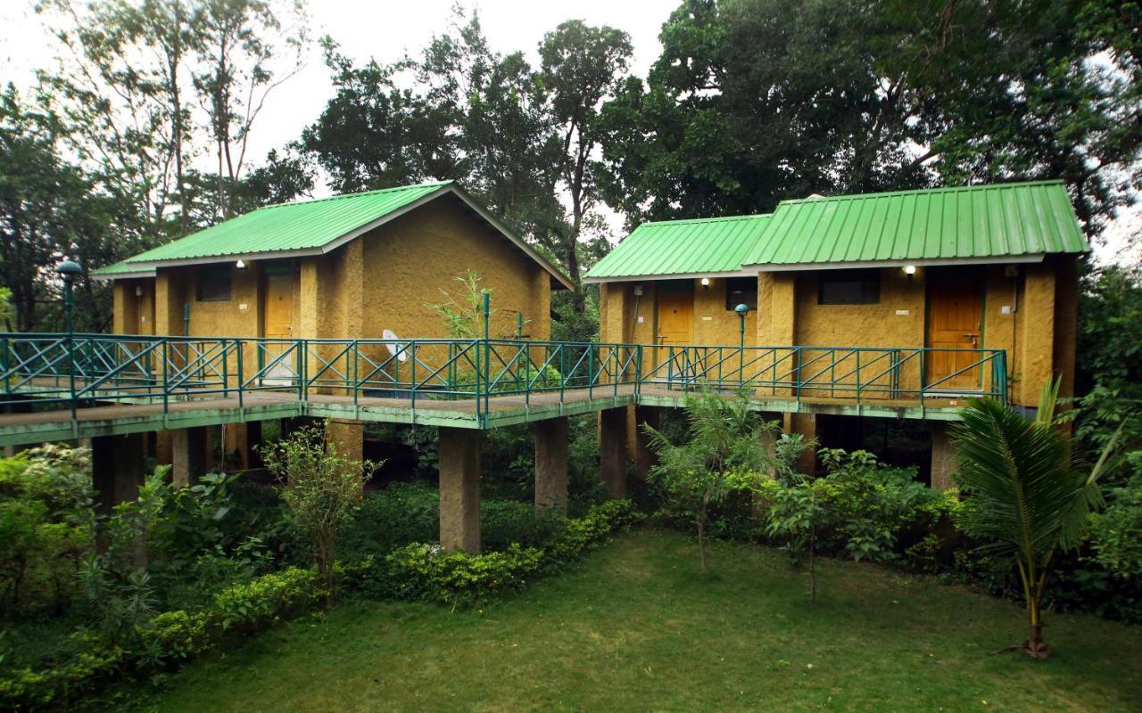 Mpt White Tiger Forest Lodge Tāla Exterior photo