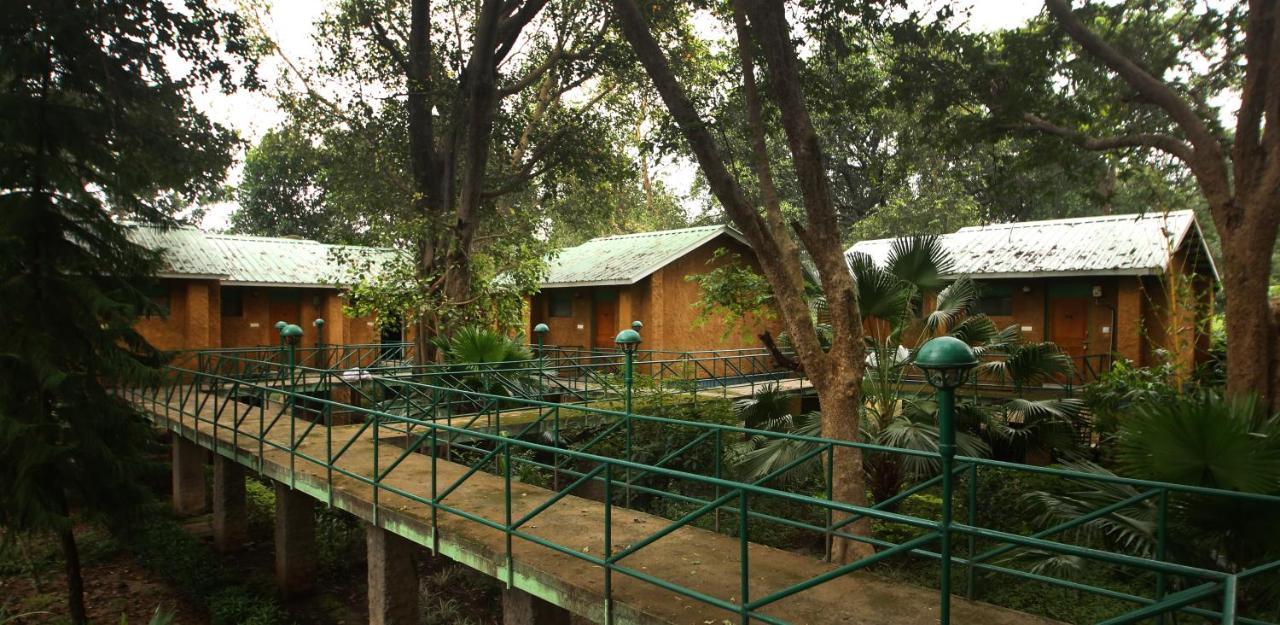 Mpt White Tiger Forest Lodge Tāla Exterior photo
