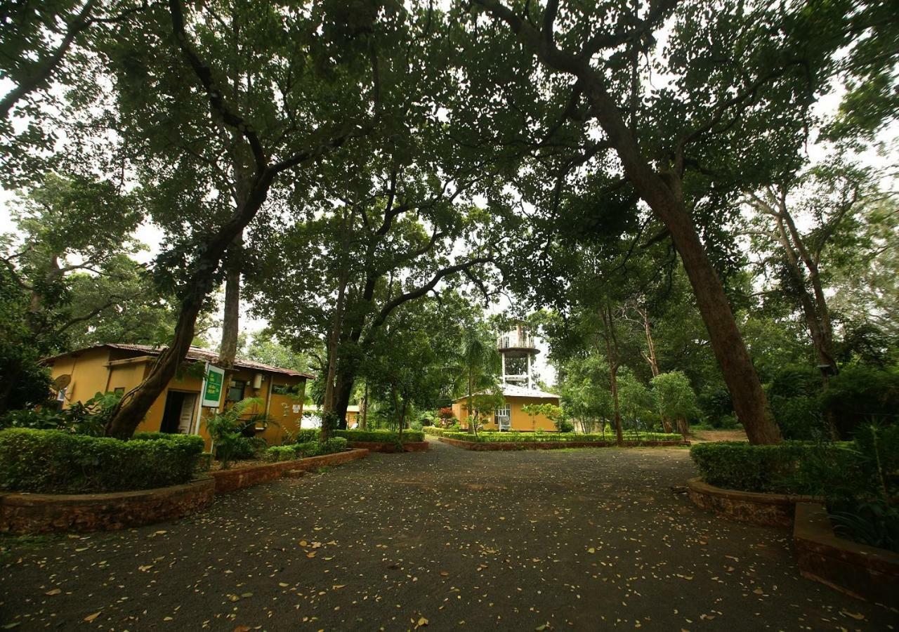 Mpt White Tiger Forest Lodge Tāla Exterior photo